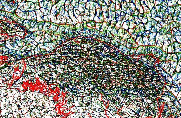 Eastern Indonesia combined lineaments of complete Bouguer gravity