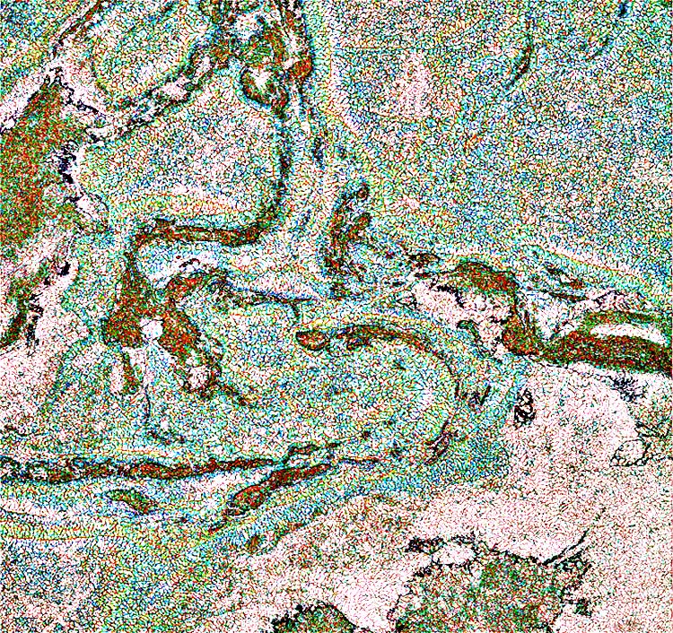 Eastern Indonesia Bouguer anomaly